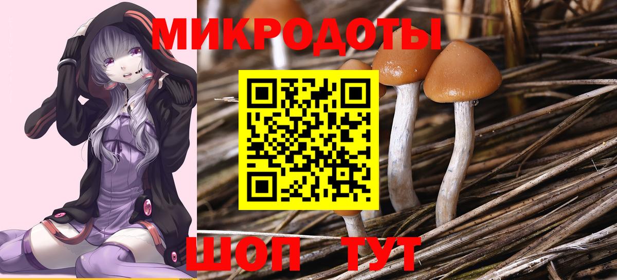 Псилоцибиновые грибы прущие грибы  Вход с VPN  Волгодонск  Галлюциногенные грибы Cubensis 